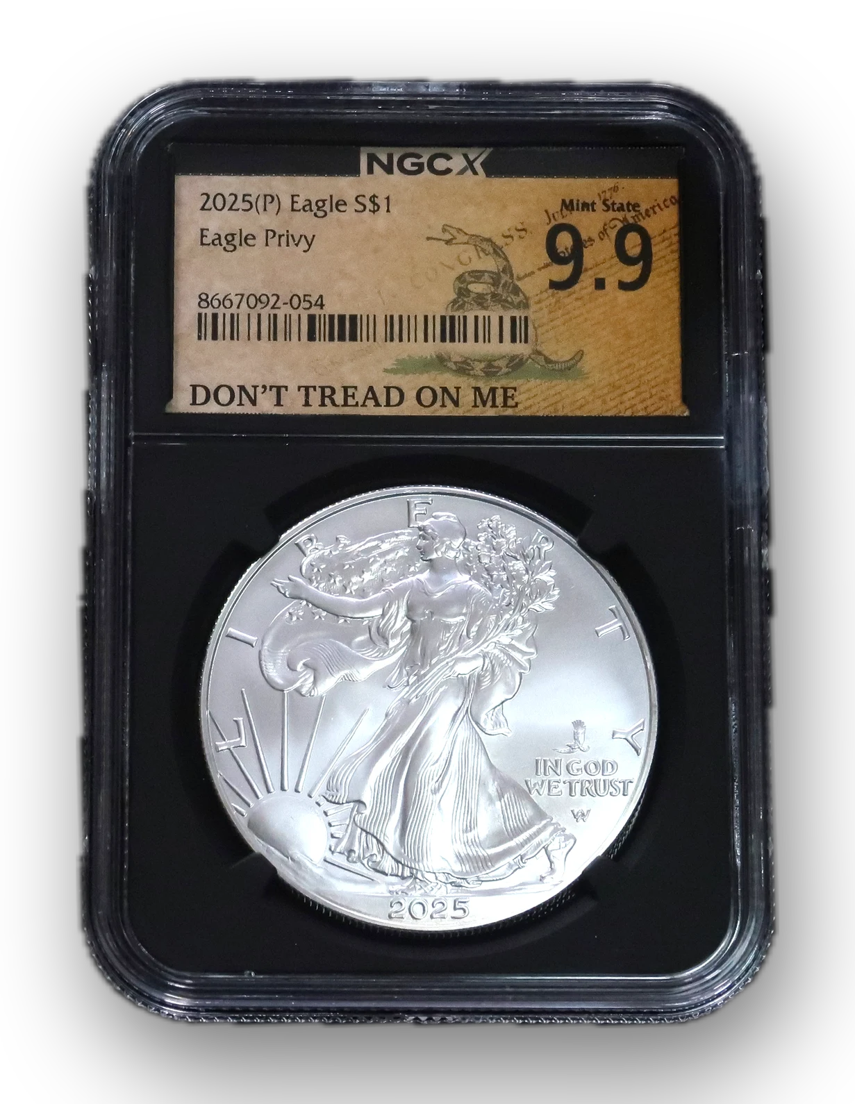 2025 Silver Eagle Privy