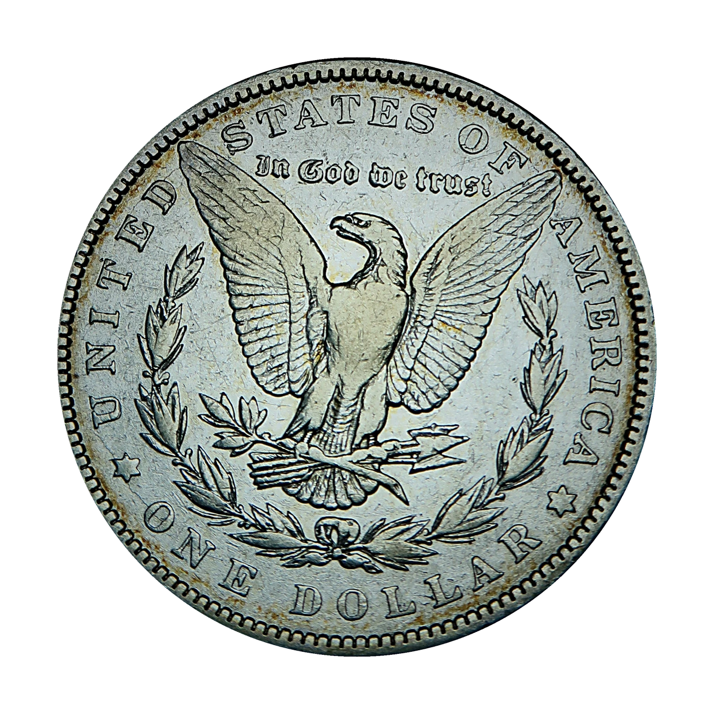 1884 Morgan Dollar (reverse)