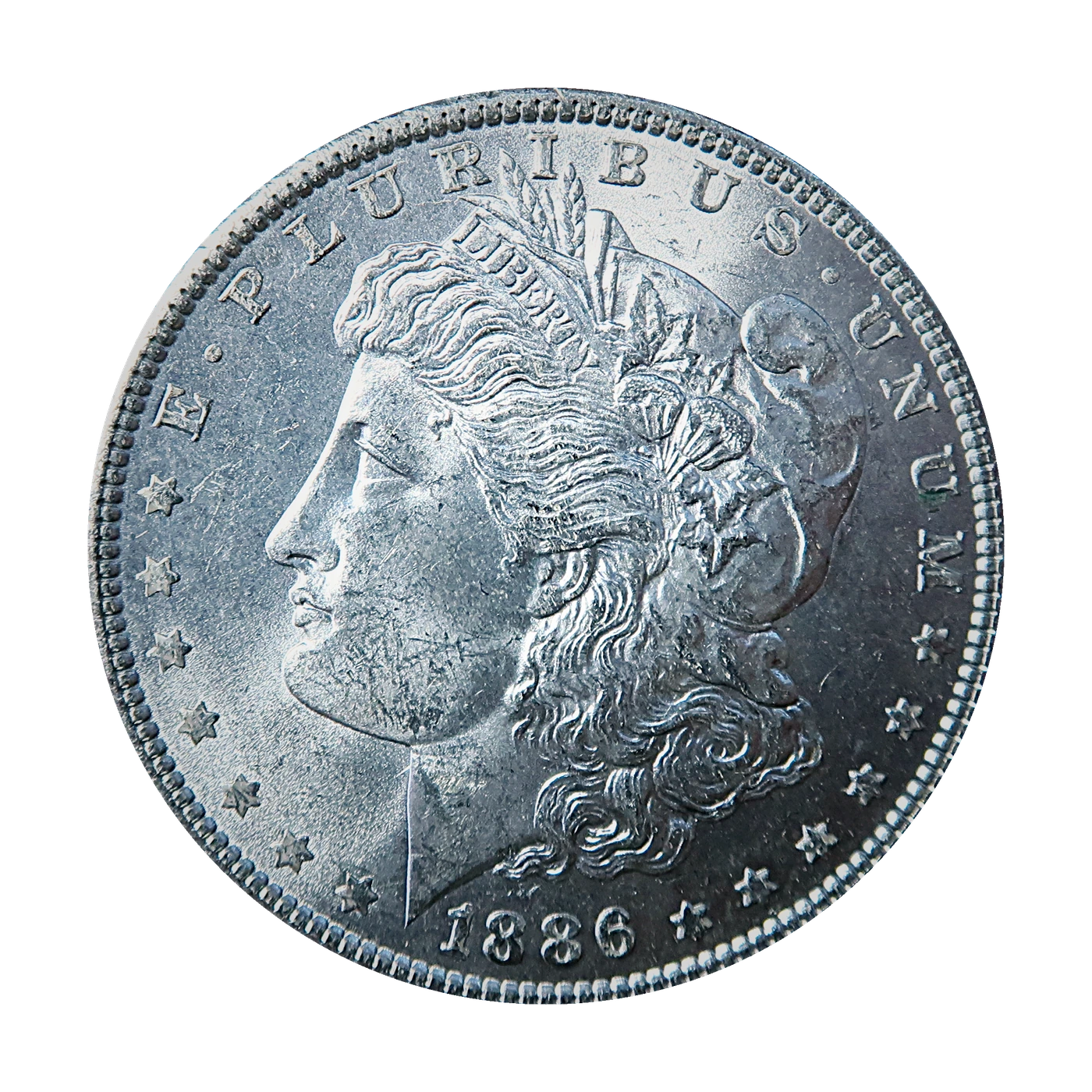 1886 Morgan Dollar