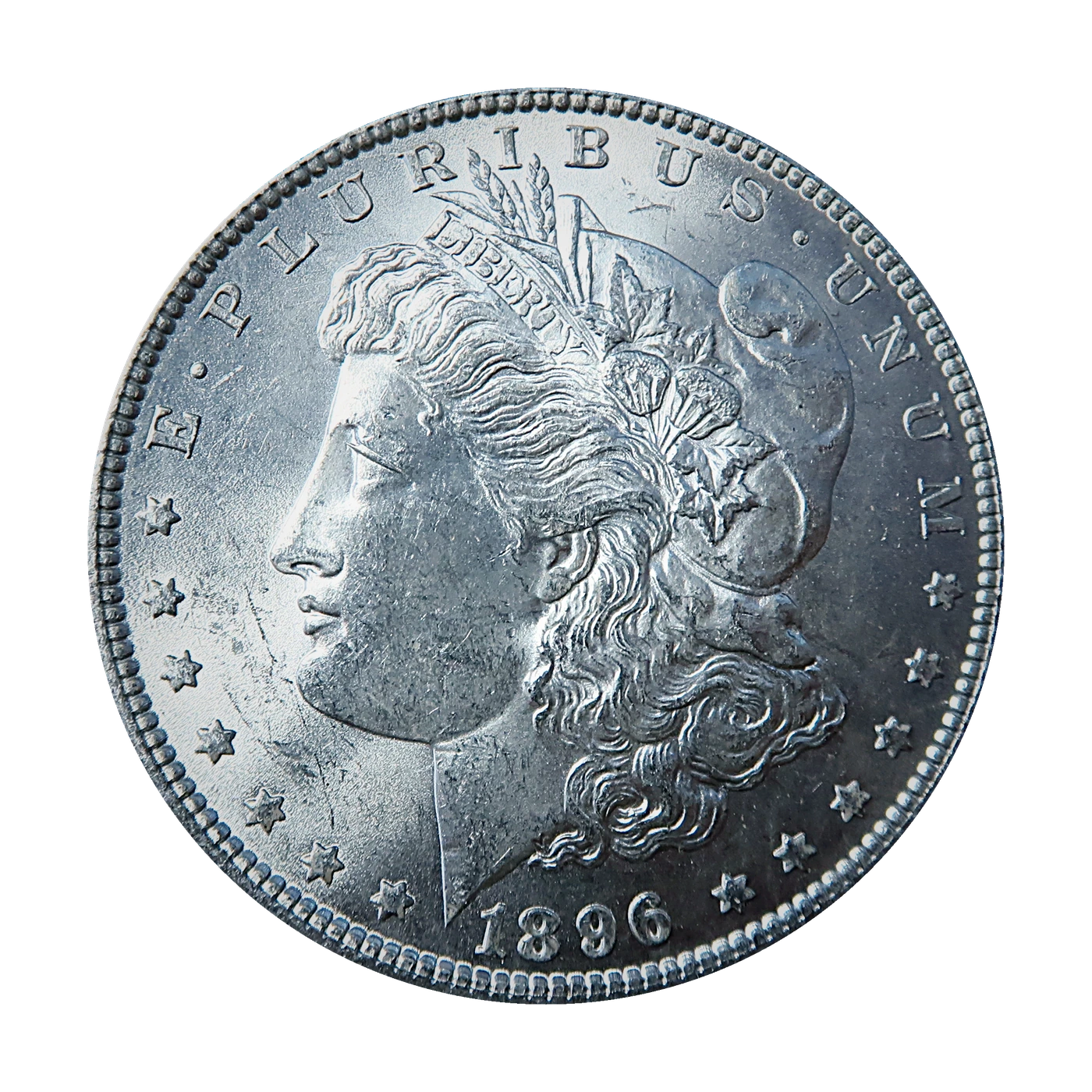 1896 Morgan Dollar