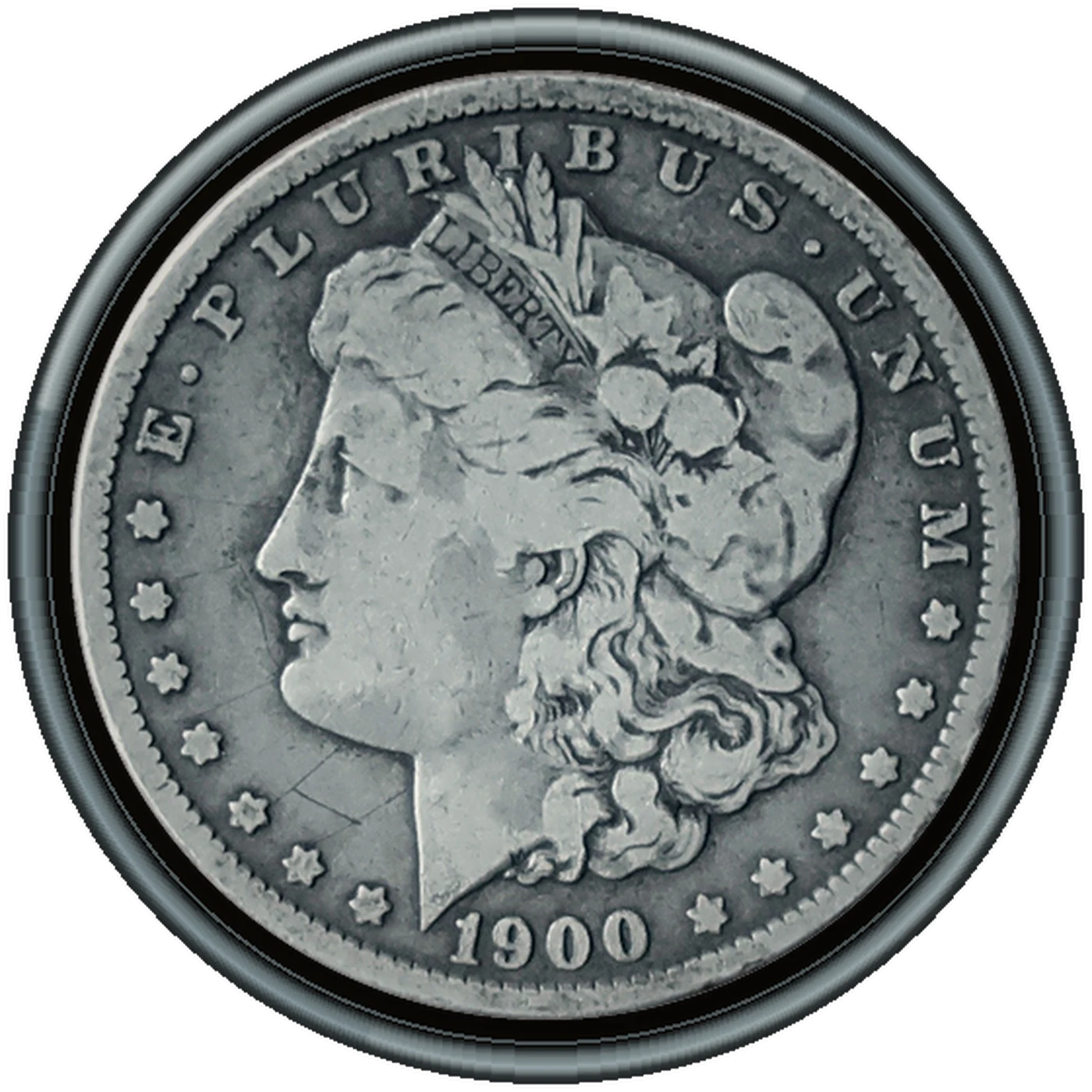 1900 Morgan Dollar